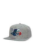 Mitchell & Ness Charlotte Hornets Team baseball cap